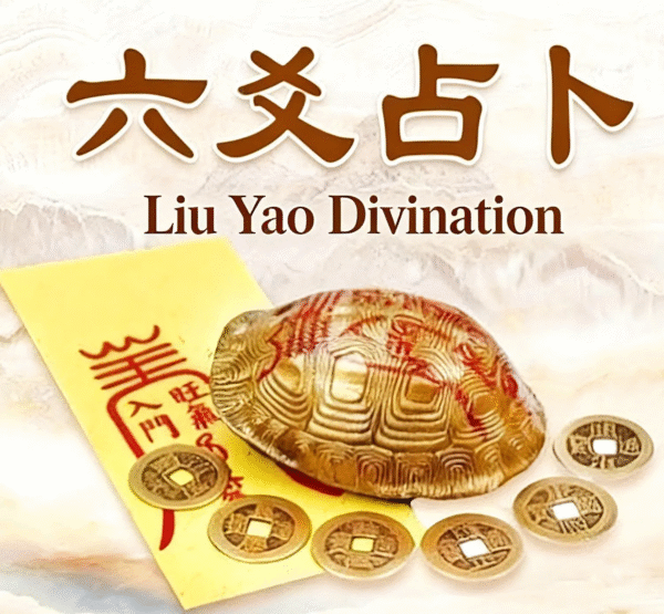 Special Price Divination – One Question, One Answer (Ask your question, and we’ll provide the most suitable answer through divination).